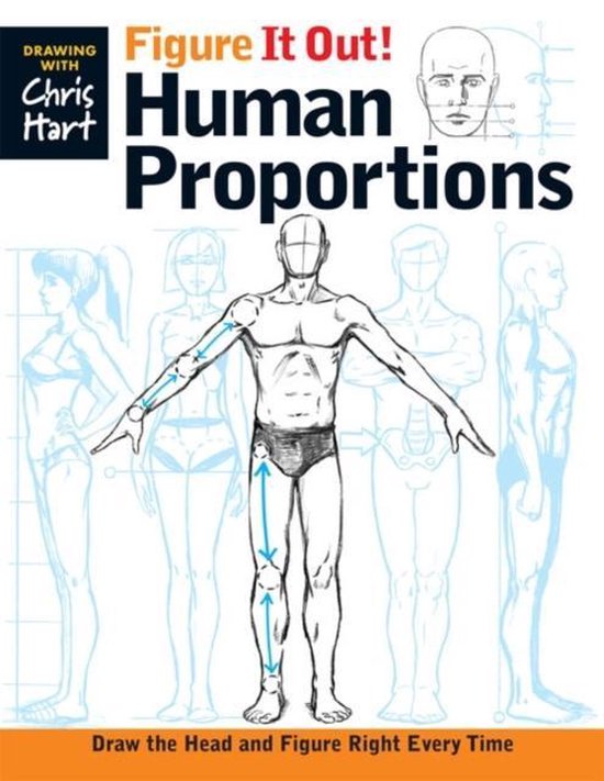 Figure It Out Human Proportions