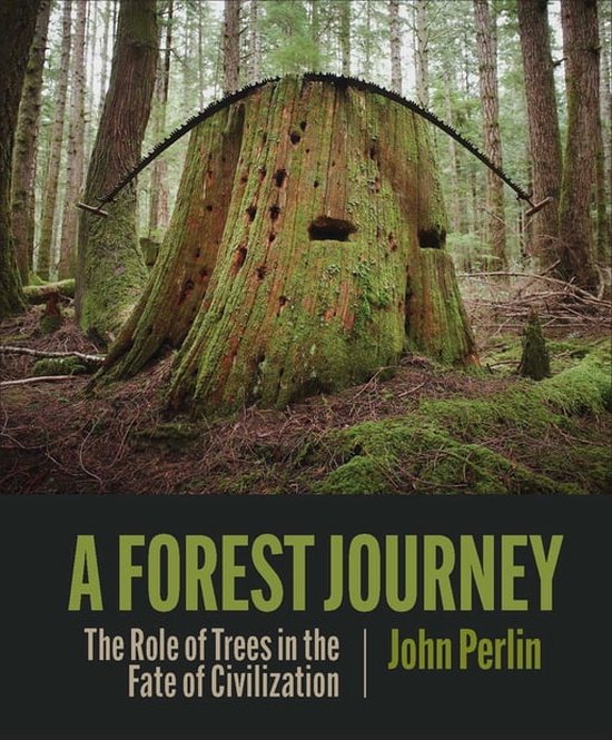 A Forest Journey