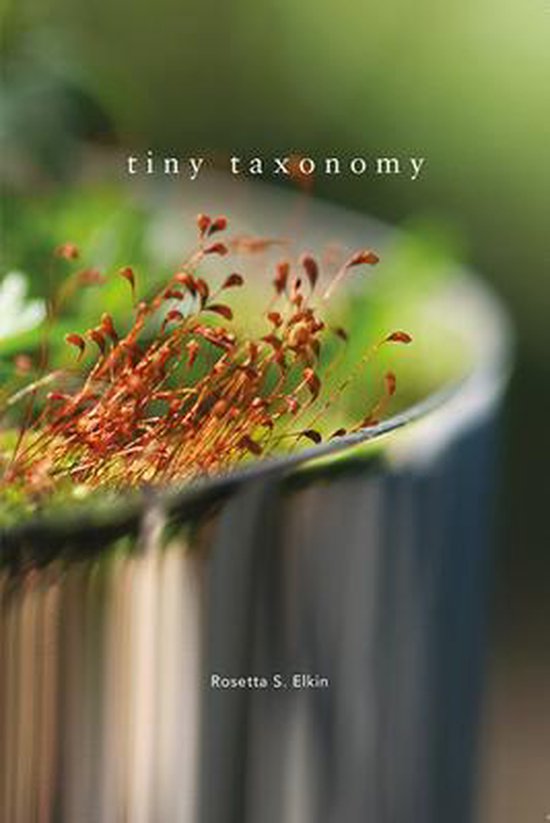 Tiny Taxonomy