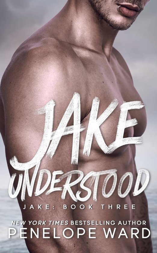 Jake 3 - Jake Understood