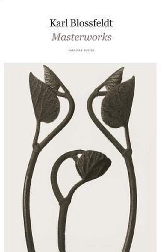 Karl Blossfeldt