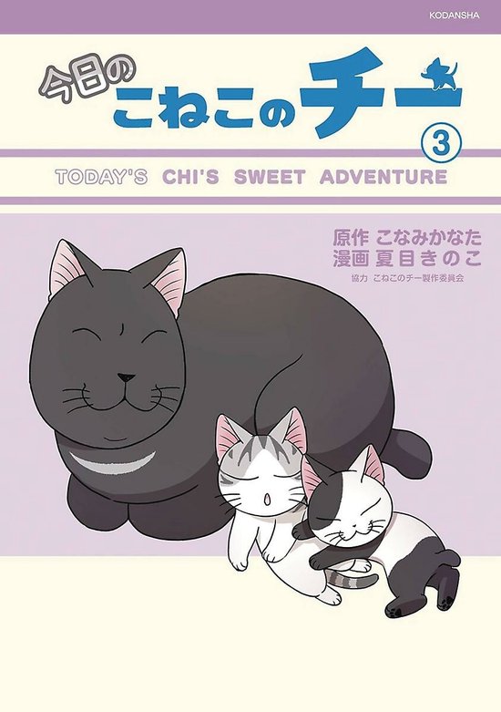 Chi's Sweet Adventures, 3