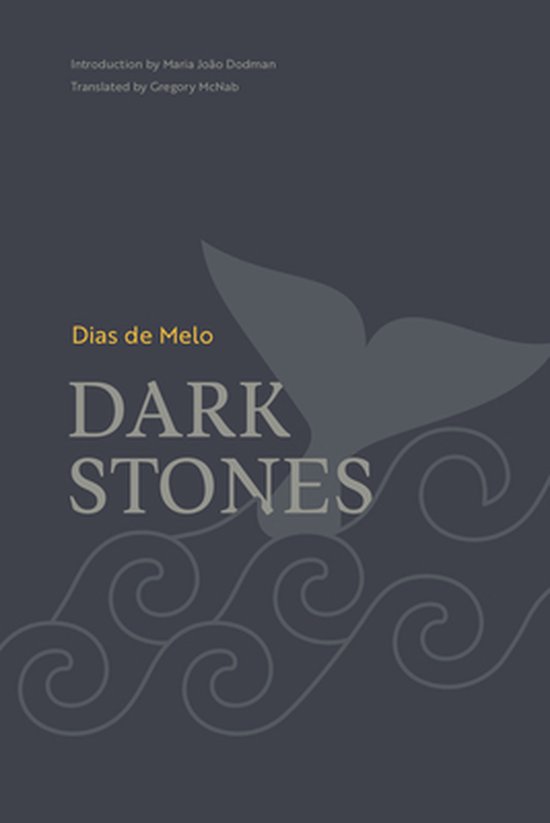 Bellis Azorica- Dark Stones