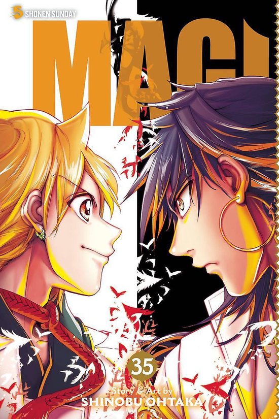 Magi: The Labyrinth of Magic, Vol. 35, Volume 35