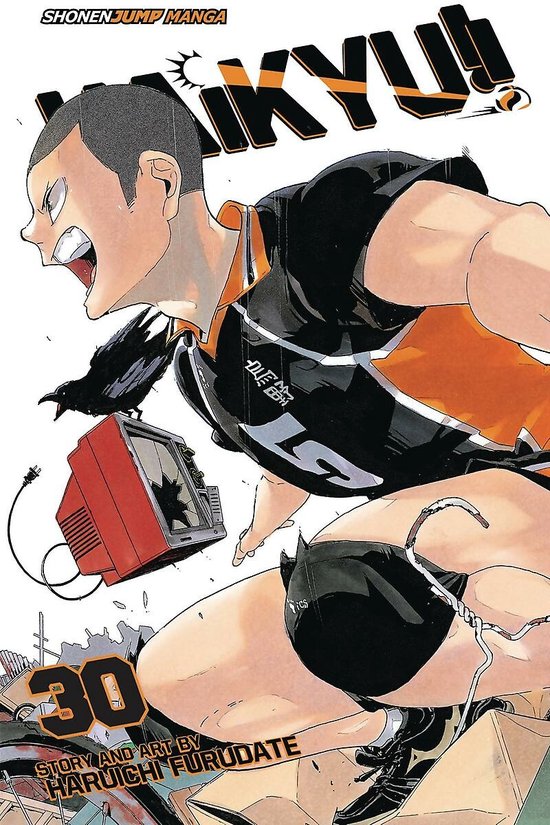 Haikyu!!, Vol. 30, Volume 30