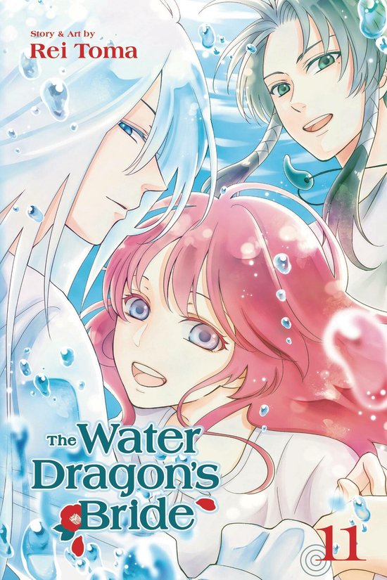 The Water Dragon's Bride, Vol. 11