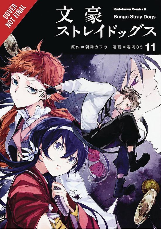 Bungo Stray Dogs, Vol. 11