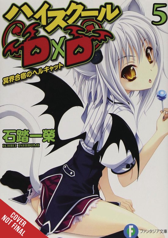 HIGH SCHOOL DXD LIGHT NOVEL SC- High School DxD, Vol. 5 (light novel)