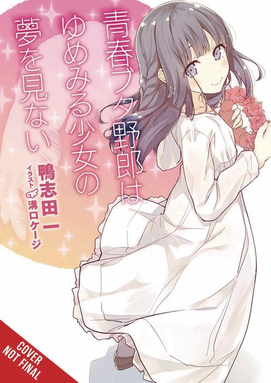 Rascal Does Not Dream of a Dreaming Girl (light novel)