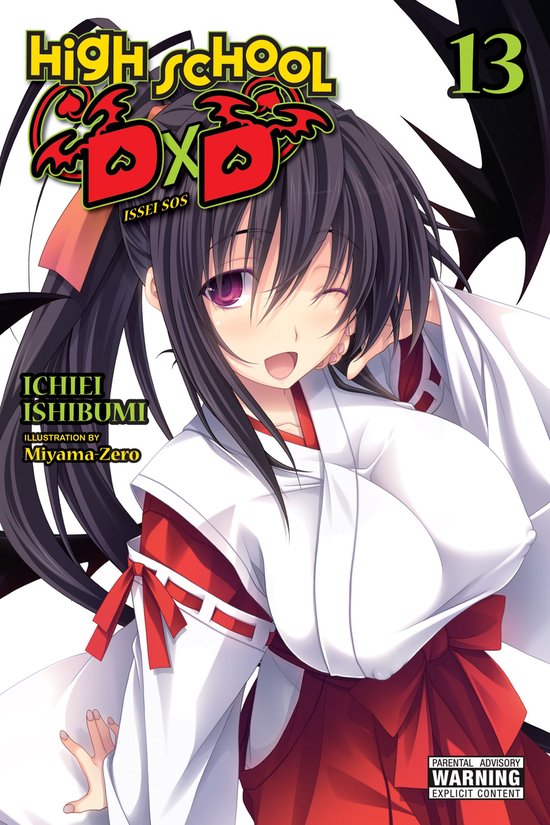 High School DxD (light novel) 13 - High School DxD, Vol. 13 (light novel)