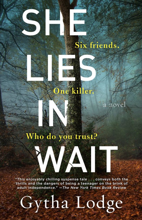 Jonah Sheens Detective Series- She Lies in Wait