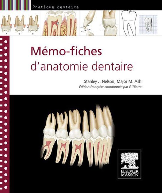 Mémo-fiches d'anatomie dentaire