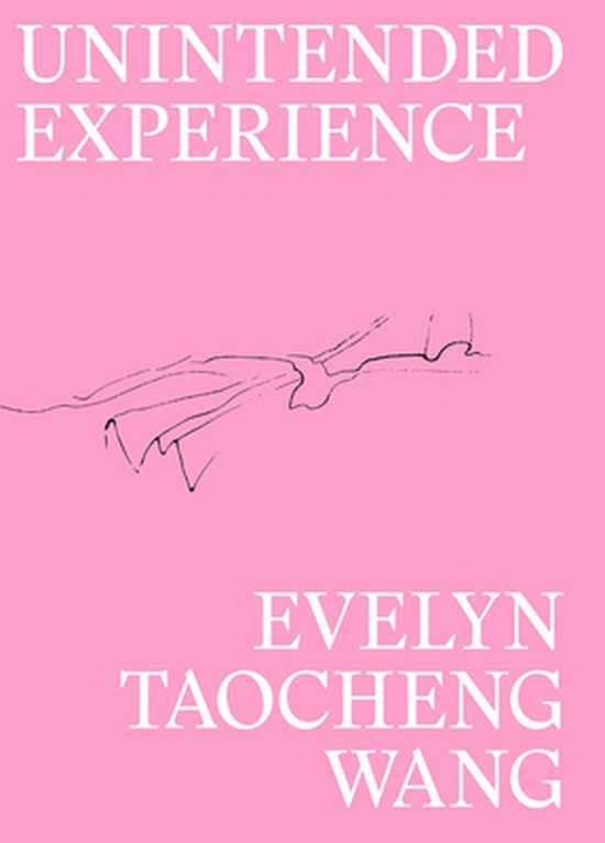 Evelyn Taocheng Wang: Unintended Experience