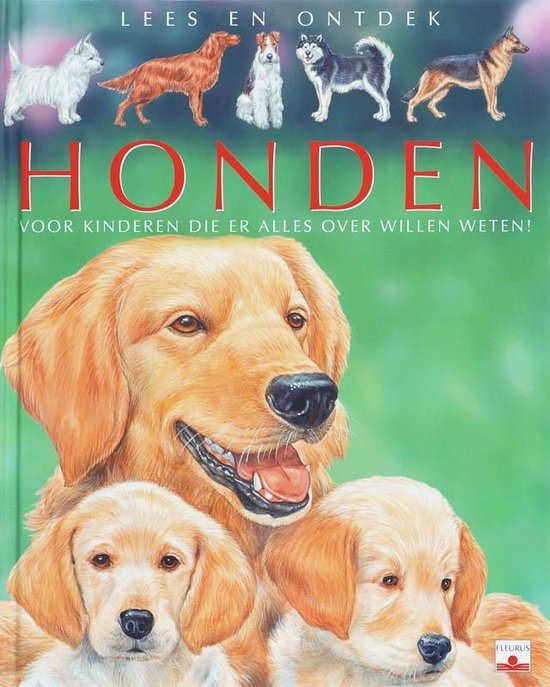 Honden