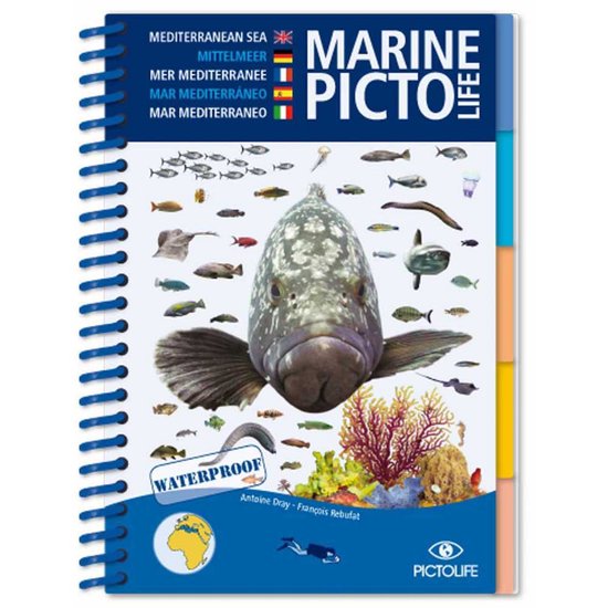 Pictolife Mediterrane Marine Blauw