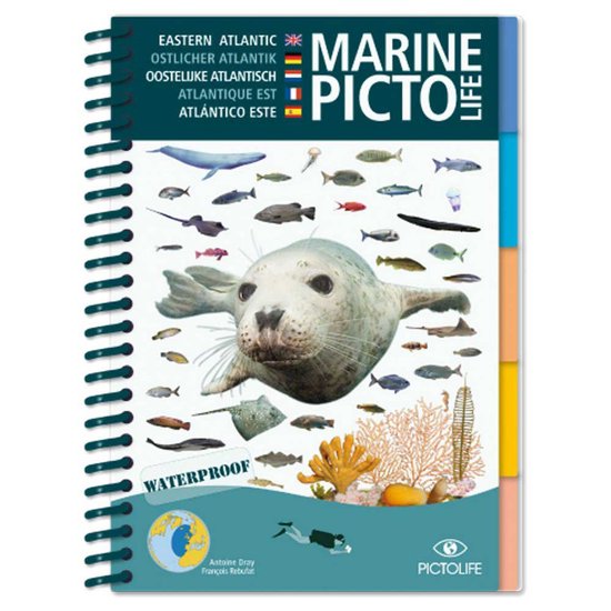 Pictolife Marine Eeastern Atlantic Wit,Blauw