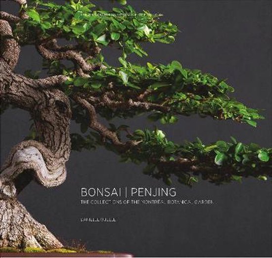 Bonsai   Penjing