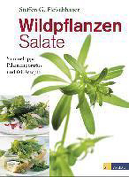 Wildpflanzen-Salate