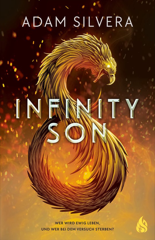 Infinity-Trilogie 1 - Infinity Son (Bd. 1)