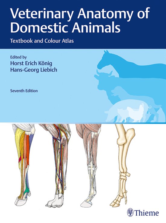 Veterinary Anatomy of Domestic Animals