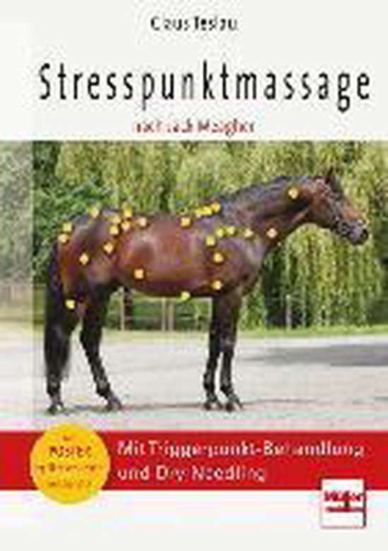 Stresspunktmassage nach Jack Meagher