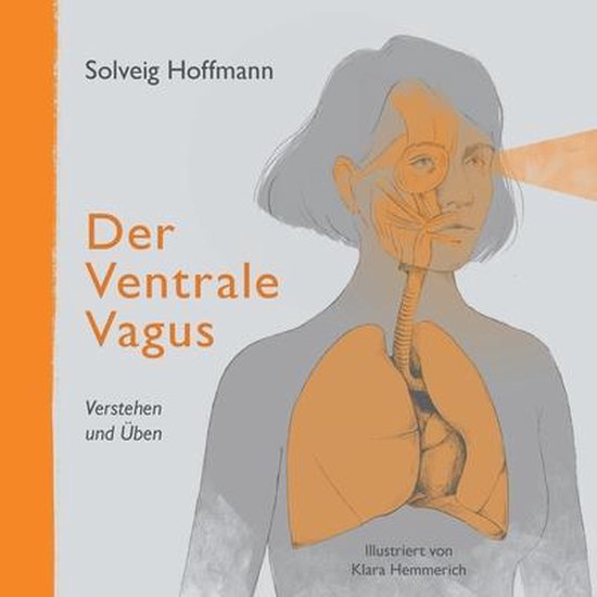 Der Ventrale Vagus