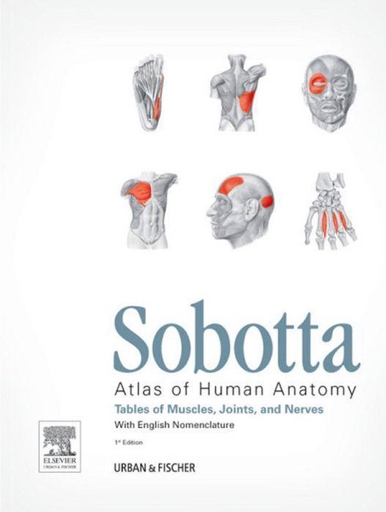 Sobotta Tables of Muscles, Joints and Nerves, English