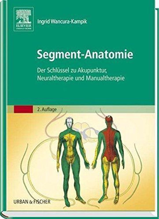 Segment-Anatomie