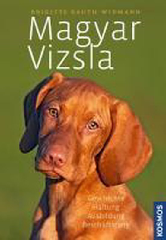 Magyar Vizsla