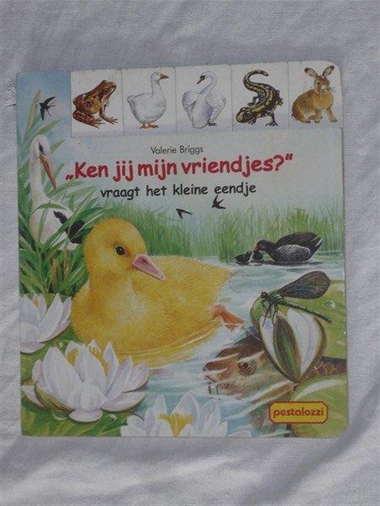 Ken jij mijn vriendjes? vraagt het kleine eendje