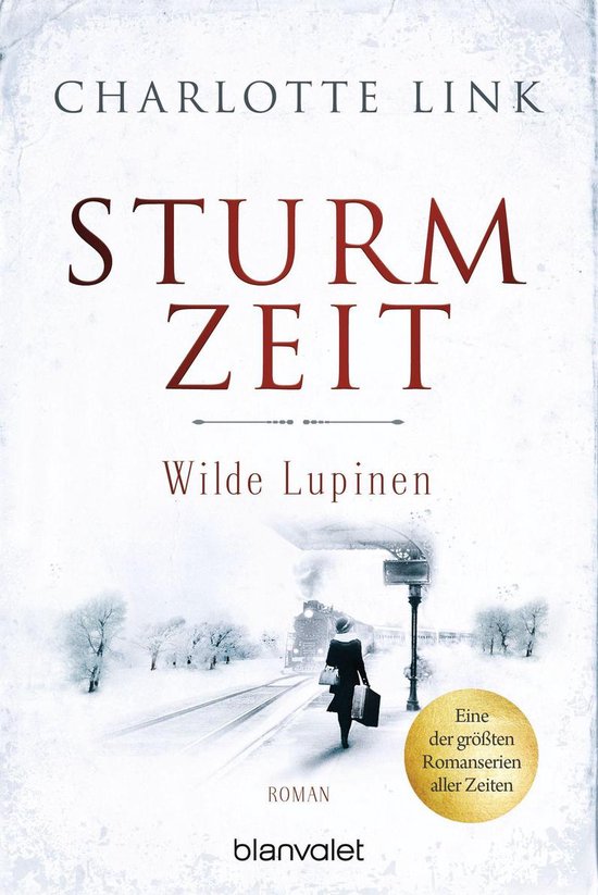 Die Sturmzeittrilogie 2 - Sturmzeit - Wilde Lupinen