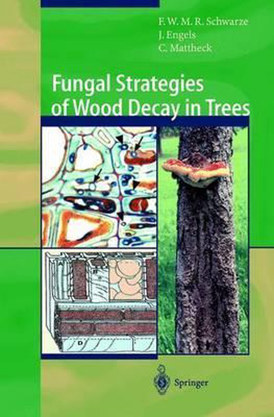 Fungal Strategies of Wood Decay in Trees