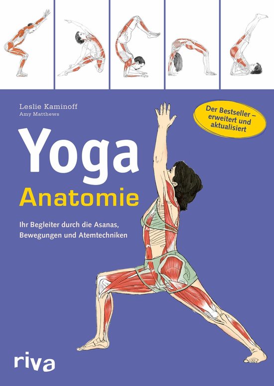 Sportanatomie 1 - Yoga-Anatomie