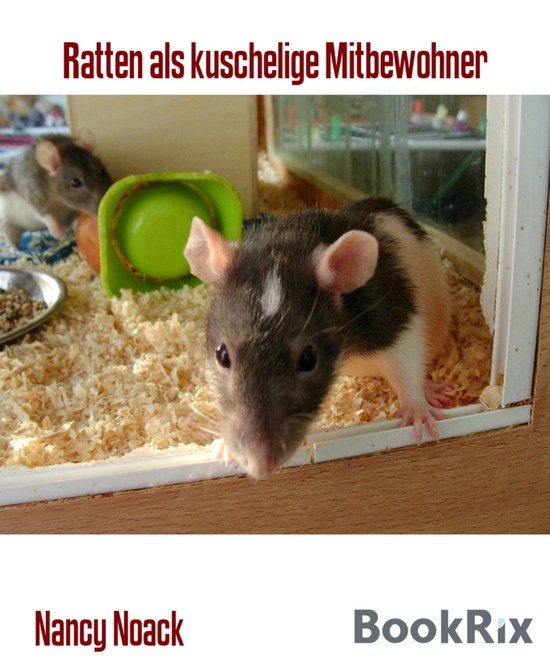 Ratten als kuschelige Mitbewohner