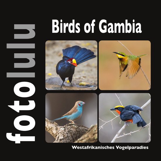 Birds of Gambia