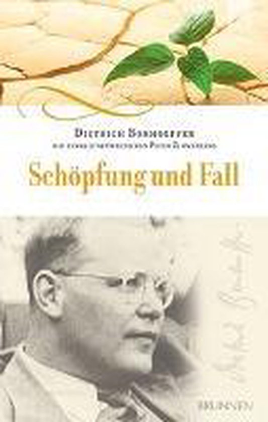 Schöpfung und Fall