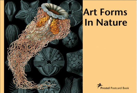 Art Forms In Nature