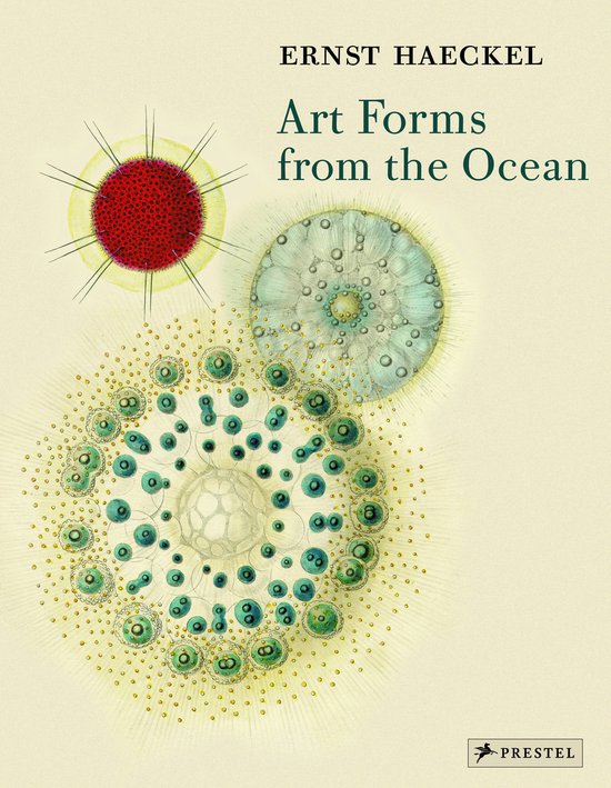 Art Forms From The Ocean