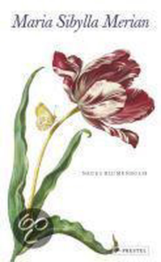 Maria Sibylla Merian - Neues Blumenbuch