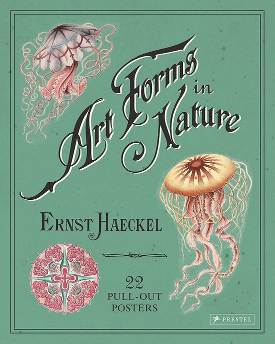 Ernst Haeckel