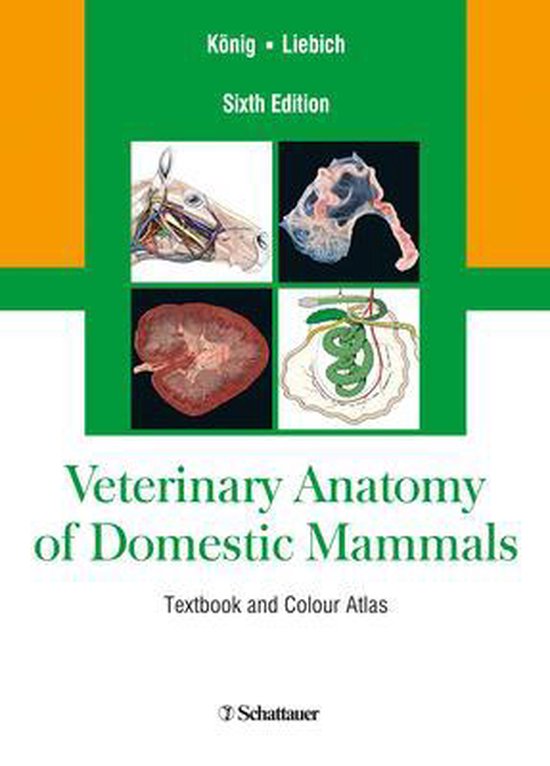 Veterinary Anatomy of Domestic Mammals