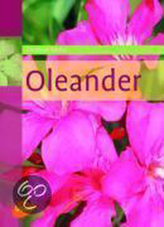 Oleander