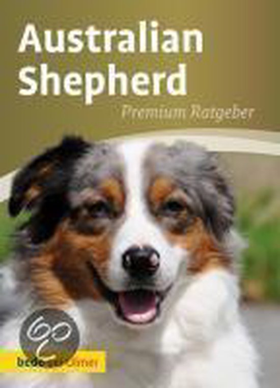 Australian Shepherd