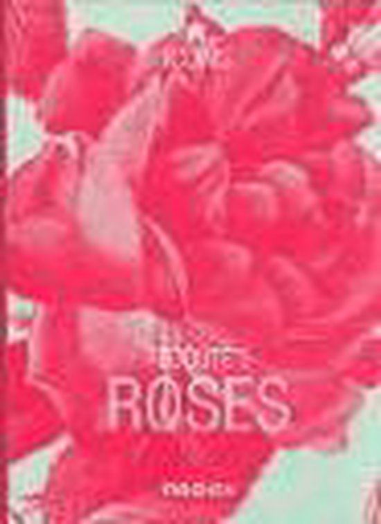 Redoute's Roses