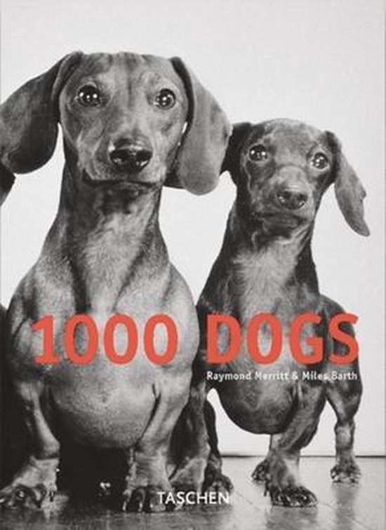 1000 Dogs