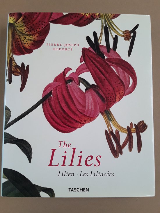 The Lilies