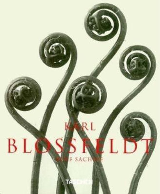 Karl Blossfeldt - Photographs 1865-1932