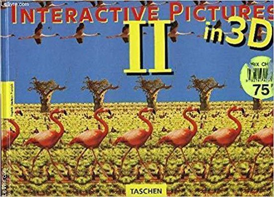 Interactive Pictures II