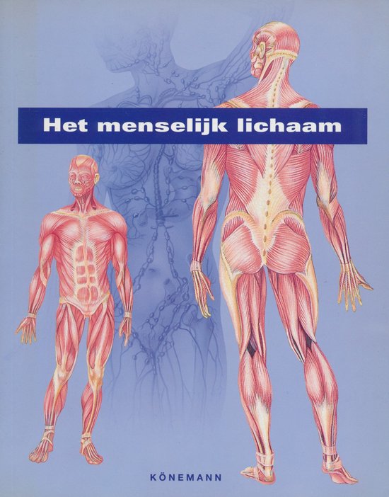 Het menselijk lichaam