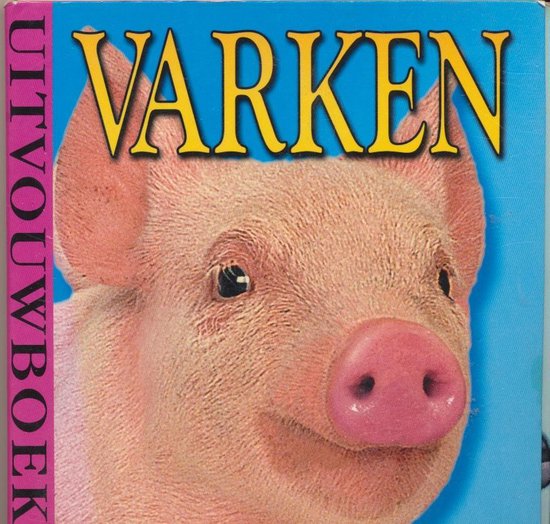 UITVOUWBOEK - VARKEN